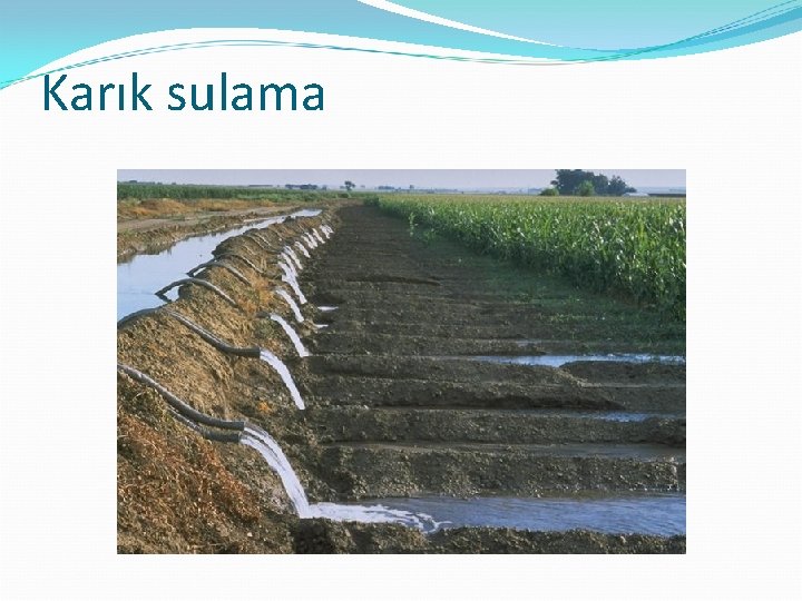 Karık sulama 