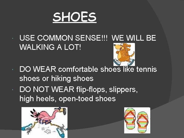 SHOES USE COMMON SENSE!!! WE WILL BE WALKING A LOT! DO WEAR comfortable shoes