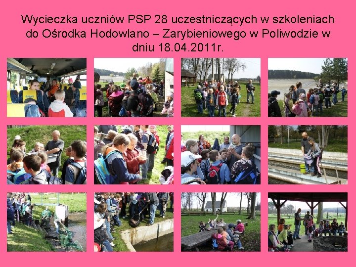 Wycieczka uczniów PSP 28 uczestniczących w szkoleniach do Ośrodka Hodowlano – Zarybieniowego w Poliwodzie