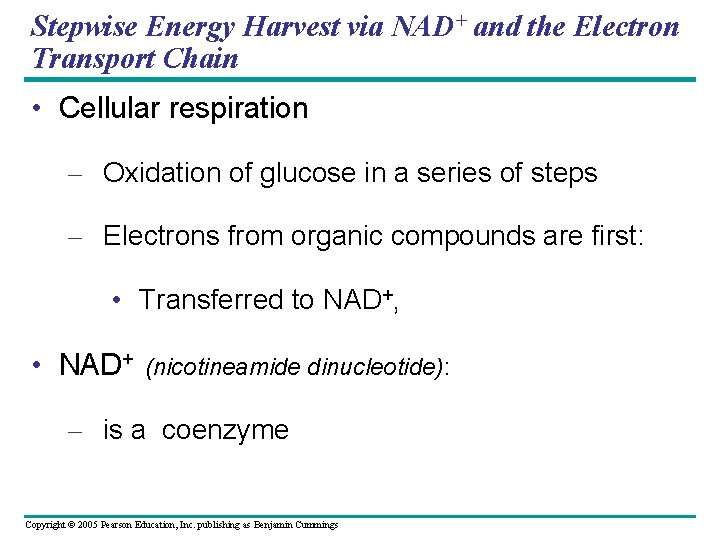 Stepwise Energy Harvest via NAD+ and the Electron Transport Chain • Cellular respiration –