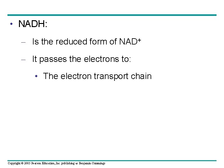  • NADH: – Is the reduced form of NAD+ – It passes the