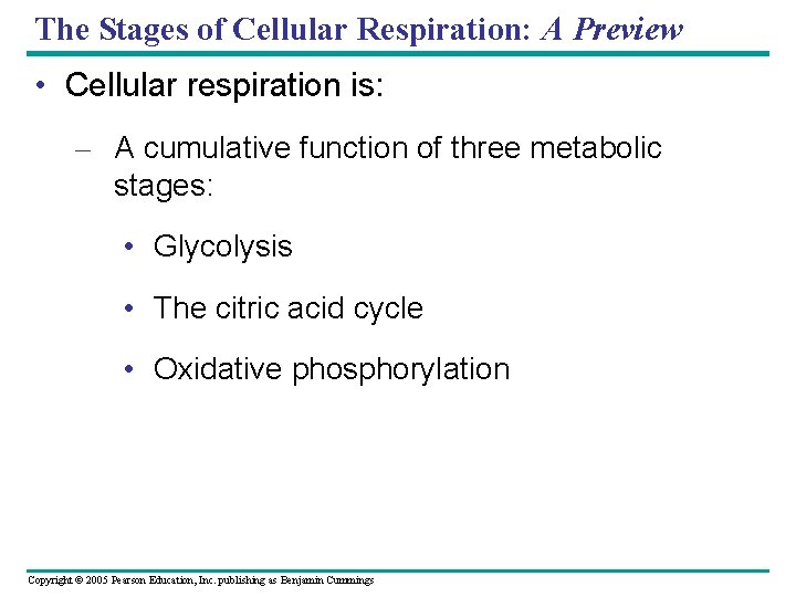 The Stages of Cellular Respiration: A Preview • Cellular respiration is: – A cumulative