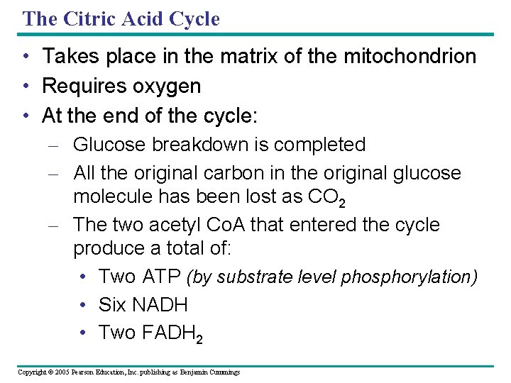 The Citric Acid Cycle • Takes place in the matrix of the mitochondrion •