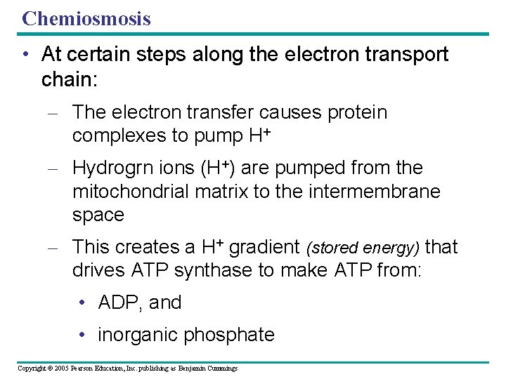 Chemiosmosis • At certain steps along the electron transport chain: – The electron transfer