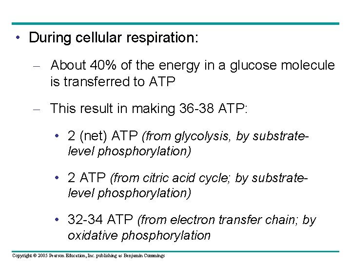  • During cellular respiration: – About 40% of the energy in a glucose