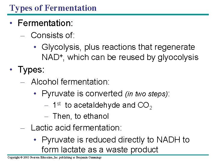 Types of Fermentation • Fermentation: – Consists of: • Glycolysis, plus reactions that regenerate