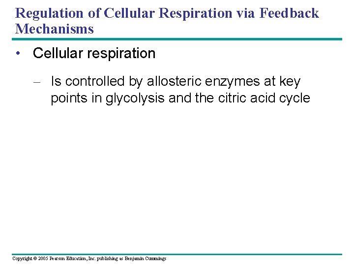 Regulation of Cellular Respiration via Feedback Mechanisms • Cellular respiration – Is controlled by