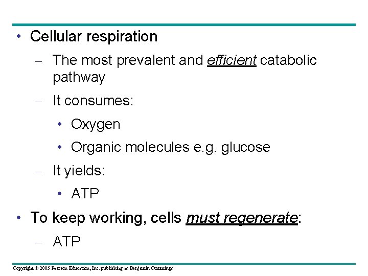  • Cellular respiration – The most prevalent and efficient catabolic pathway – It