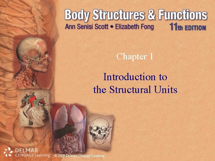 Chapter 1 Introduction to the Structural Units © 2009 Delmar, Cengage Learning Chapter 1 Introduction to the Structural Units © 2009 Delmar, Cengage Learning
