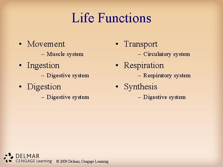 Life Functions • Movement – Muscle system • Ingestion – Digestive system • Digestion Life Functions • Movement – Muscle system • Ingestion – Digestive system • Digestion