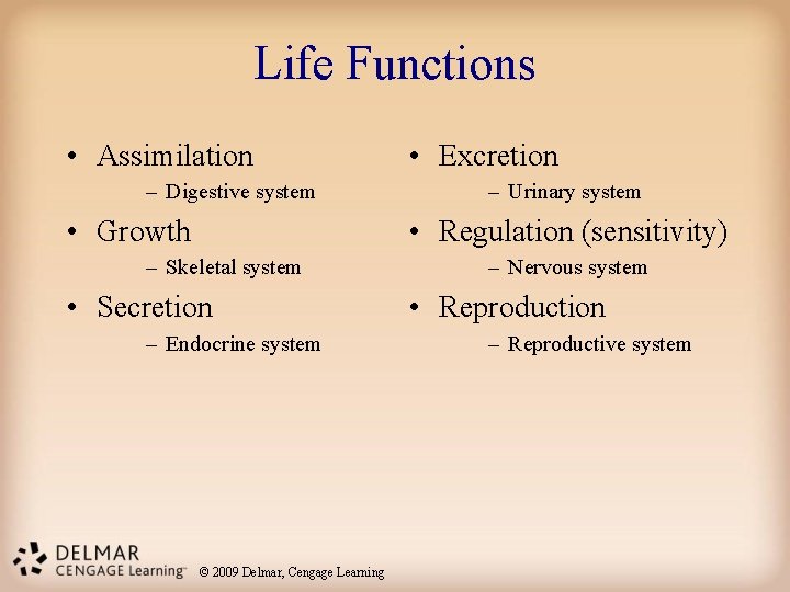Life Functions • Assimilation – Digestive system • Growth • Excretion – Urinary system Life Functions • Assimilation – Digestive system • Growth • Excretion – Urinary system