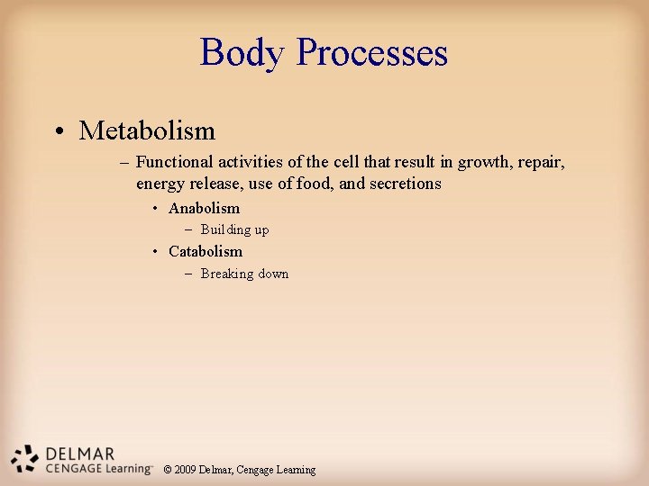 Body Processes • Metabolism – Functional activities of the cell that result in growth, Body Processes • Metabolism – Functional activities of the cell that result in growth,