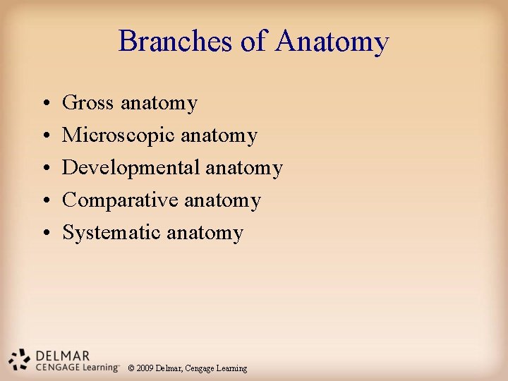 Branches of Anatomy • • • Gross anatomy Microscopic anatomy Developmental anatomy Comparative anatomy Branches of Anatomy • • • Gross anatomy Microscopic anatomy Developmental anatomy Comparative anatomy