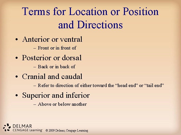 Terms for Location or Position and Directions • Anterior or ventral – Front or Terms for Location or Position and Directions • Anterior or ventral – Front or