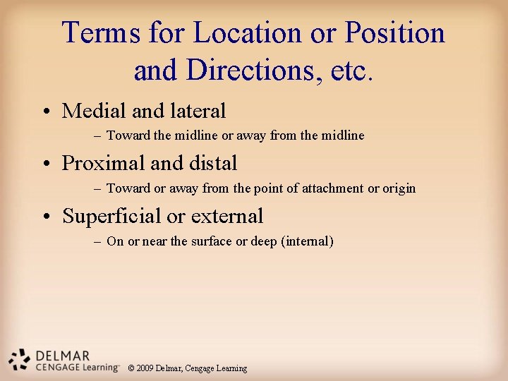 Terms for Location or Position and Directions, etc. • Medial and lateral – Toward Terms for Location or Position and Directions, etc. • Medial and lateral – Toward