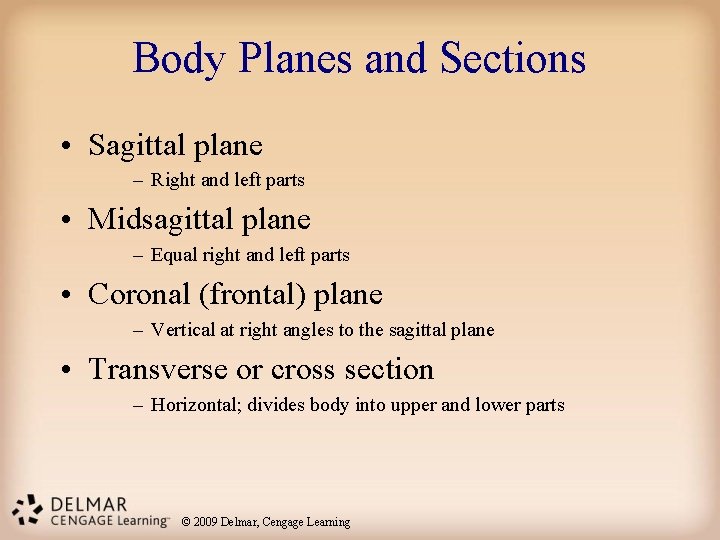 Body Planes and Sections • Sagittal plane – Right and left parts • Midsagittal Body Planes and Sections • Sagittal plane – Right and left parts • Midsagittal