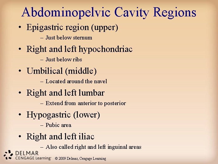 Abdominopelvic Cavity Regions • Epigastric region (upper) – Just below sternum • Right and Abdominopelvic Cavity Regions • Epigastric region (upper) – Just below sternum • Right and