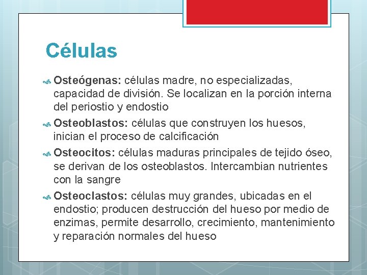 Células Osteógenas: células madre, no especializadas, capacidad de división. Se localizan en la porción