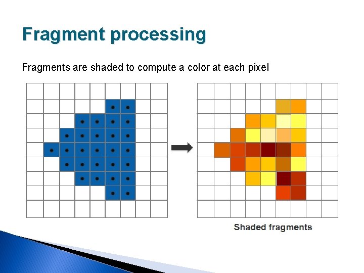 Fragment processing Fragments are shaded to compute a color at each pixel 