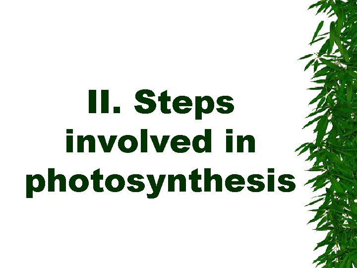 II. Steps involved in photosynthesis 