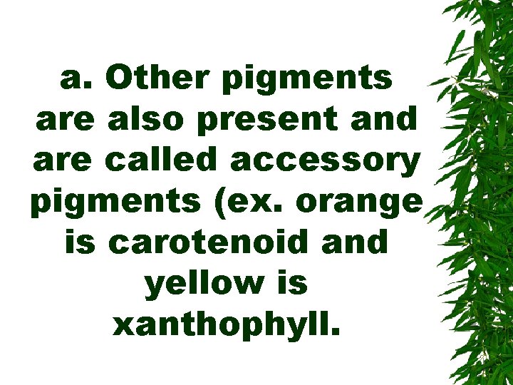 a. Other pigments are also present and are called accessory pigments (ex. orange is