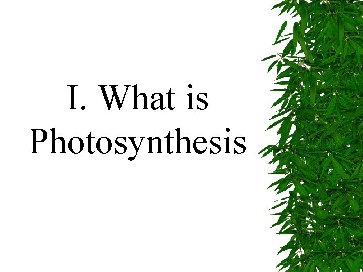 I. What is Photosynthesis 
