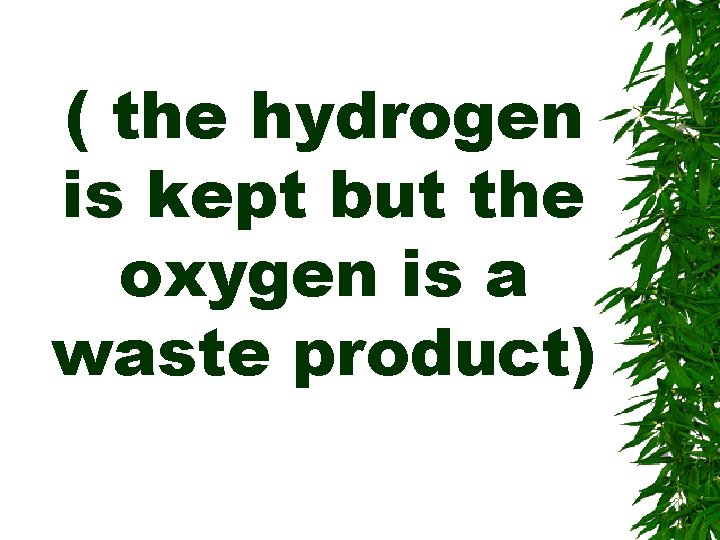 ( the hydrogen is kept but the oxygen is a waste product) 