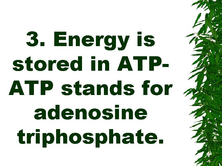 3. Energy is stored in ATPATP stands for adenosine triphosphate. 
