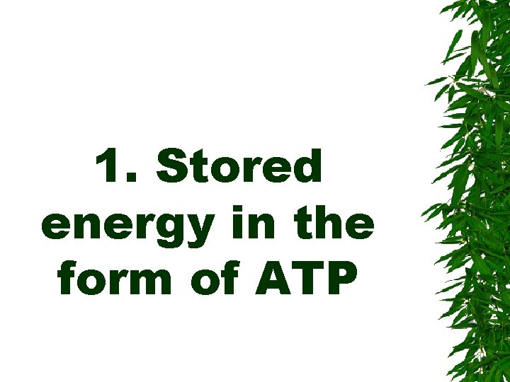 1. Stored energy in the form of ATP 
