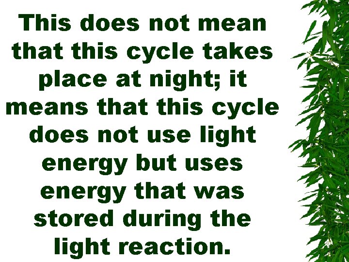 This does not mean that this cycle takes place at night; it means that