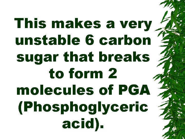 This makes a very unstable 6 carbon sugar that breaks to form 2 molecules