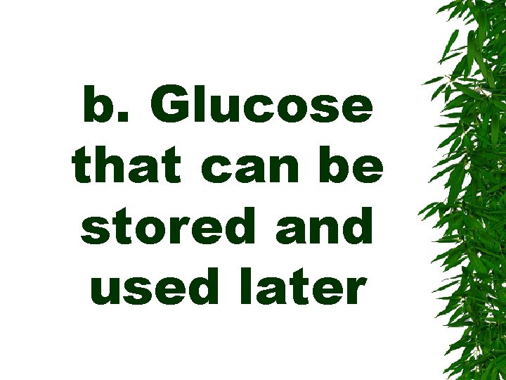 b. Glucose that can be stored and used later 