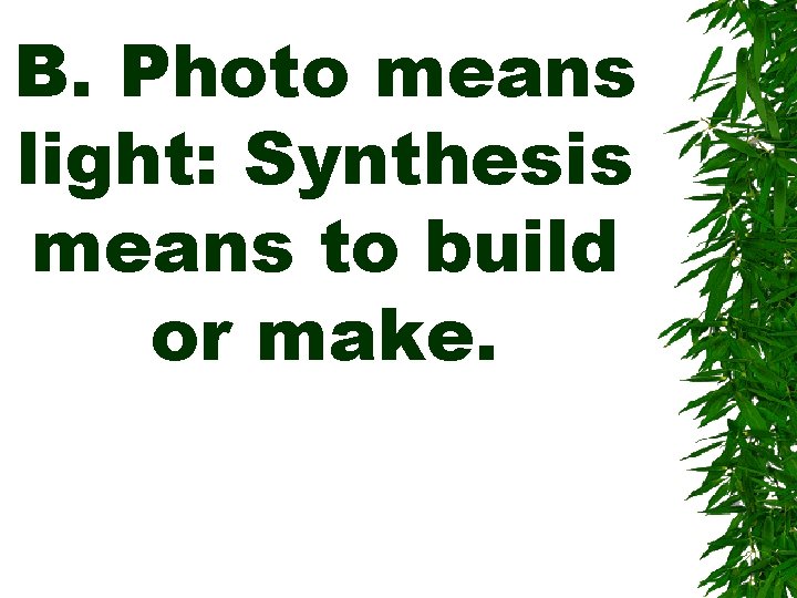 B. Photo means light: Synthesis means to build or make. 