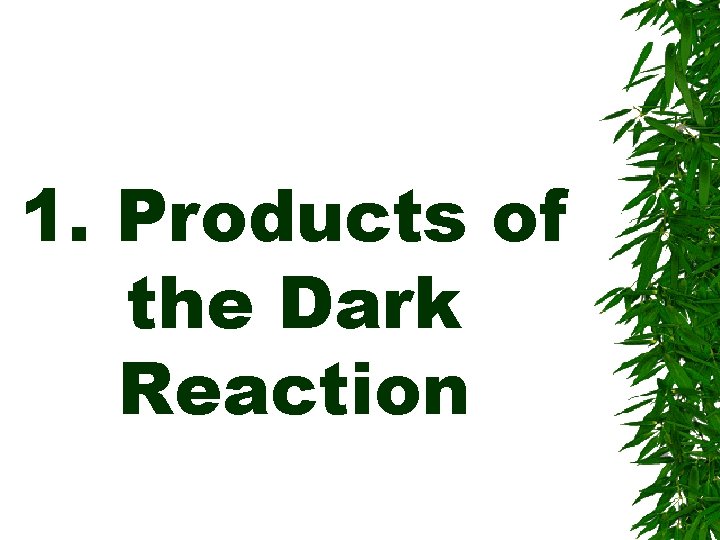 1. Products of the Dark Reaction 