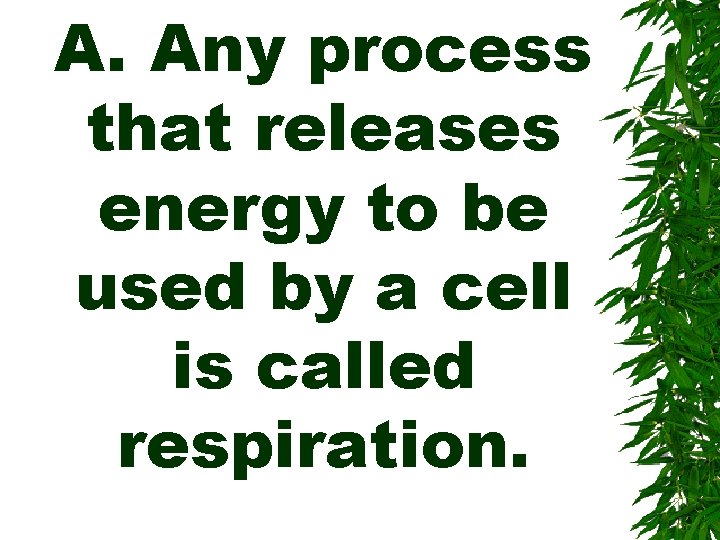 A. Any process that releases energy to be used by a cell is called