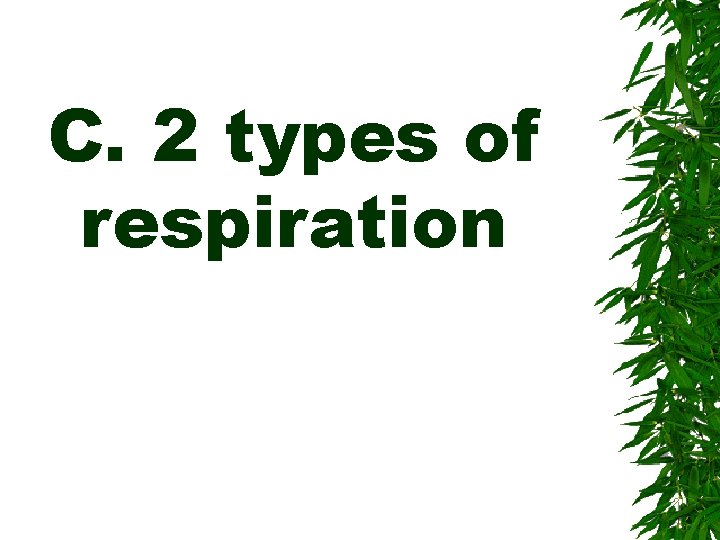 C. 2 types of respiration 