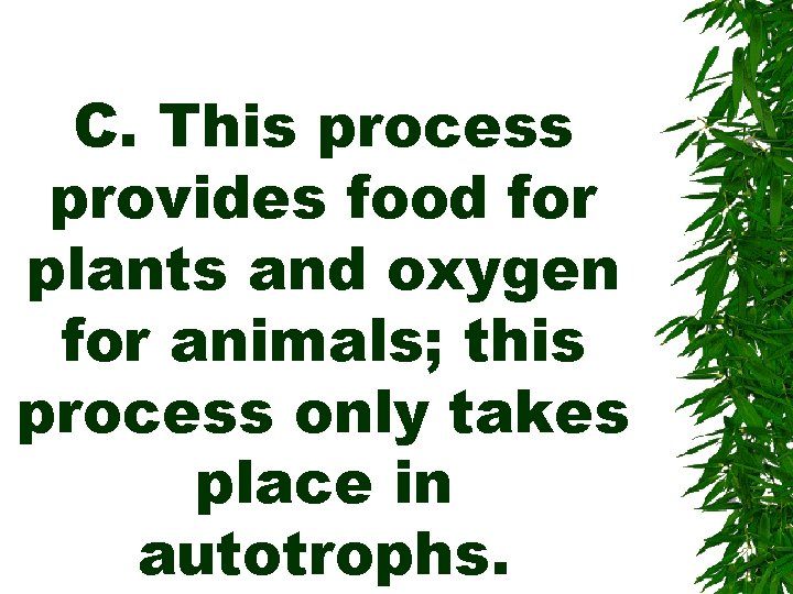 C. This process provides food for plants and oxygen for animals; this process only