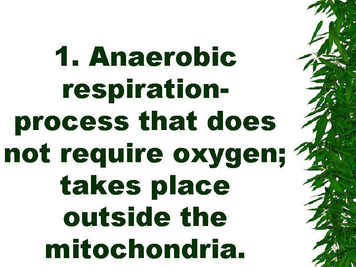 1. Anaerobic respirationprocess that does not require oxygen; takes place outside the mitochondria. 