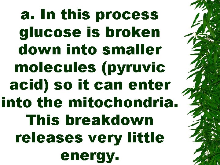 a. In this process glucose is broken down into smaller molecules (pyruvic acid) so