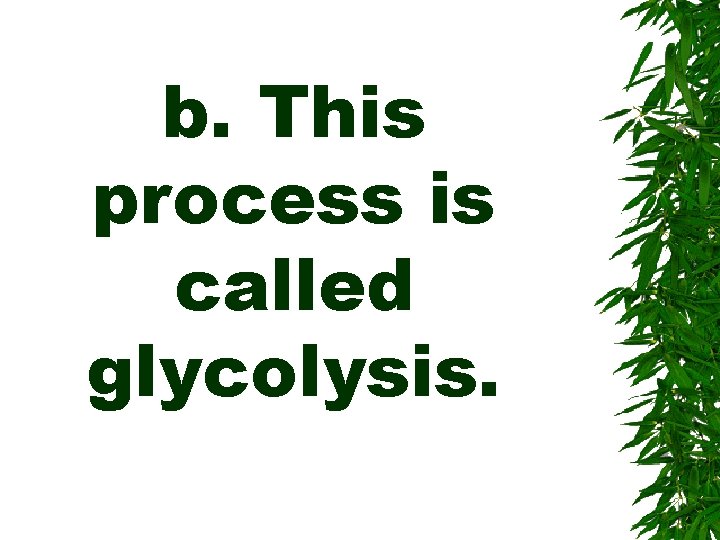 b. This process is called glycolysis. 
