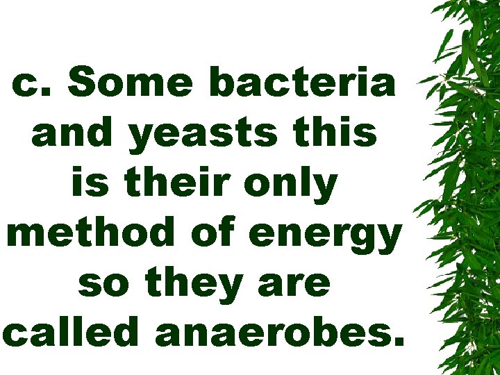 c. Some bacteria and yeasts this is their only method of energy so they