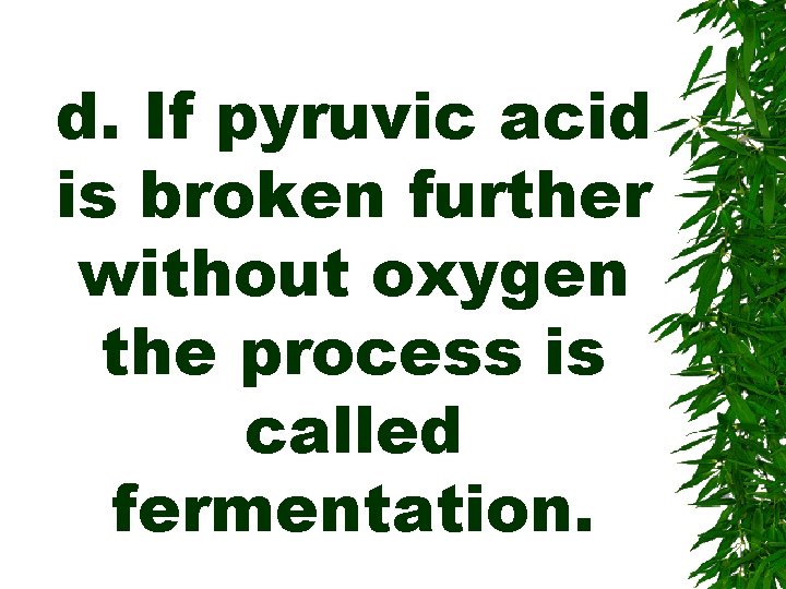 d. If pyruvic acid is broken further without oxygen the process is called fermentation.