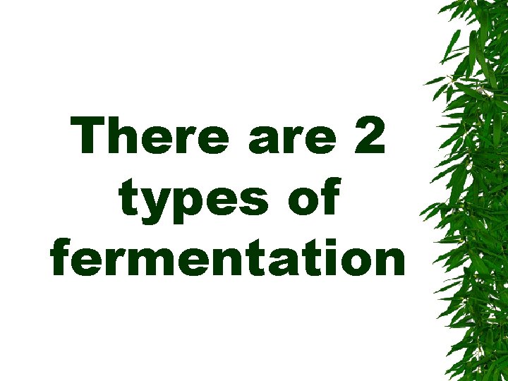 There are 2 types of fermentation 