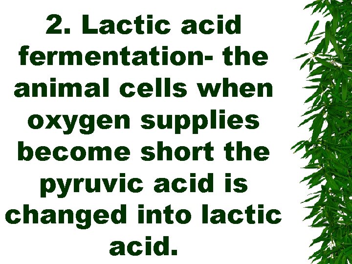 2. Lactic acid fermentation- the animal cells when oxygen supplies become short the pyruvic