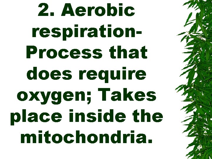 2. Aerobic respiration. Process that does require oxygen; Takes place inside the mitochondria. 