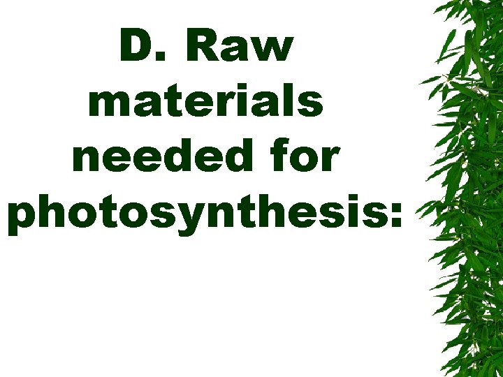 D. Raw materials needed for photosynthesis: 