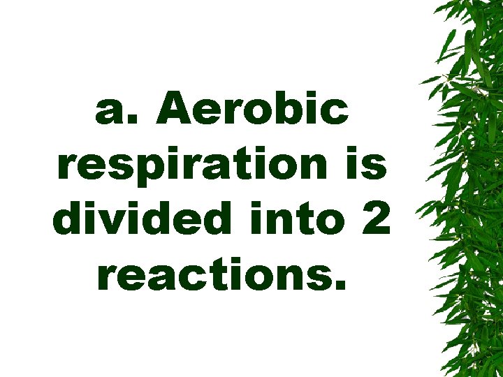 a. Aerobic respiration is divided into 2 reactions. 