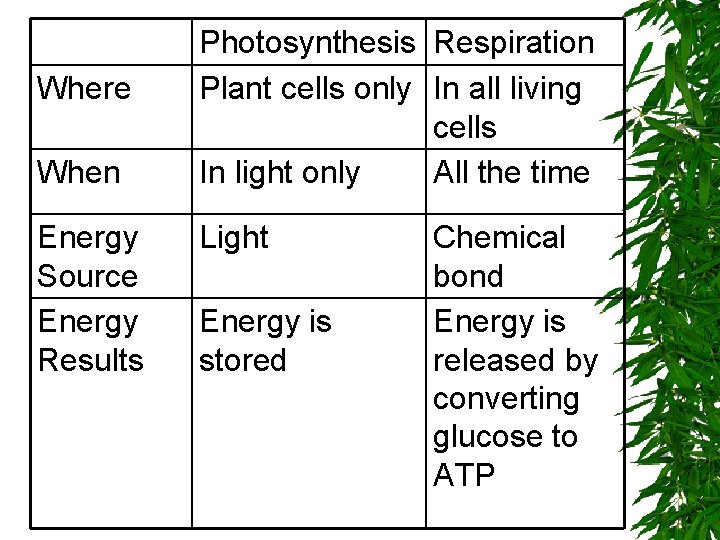 Where When Energy Source Energy Results Photosynthesis Respiration Plant cells only In all living