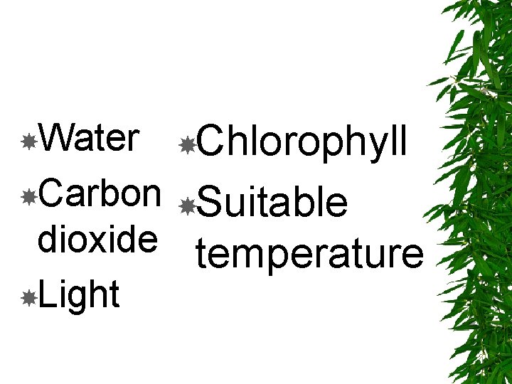  Water Chlorophyll Carbon Suitable dioxide temperature Light 
