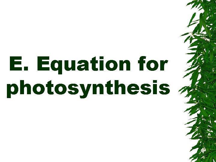 E. Equation for photosynthesis 